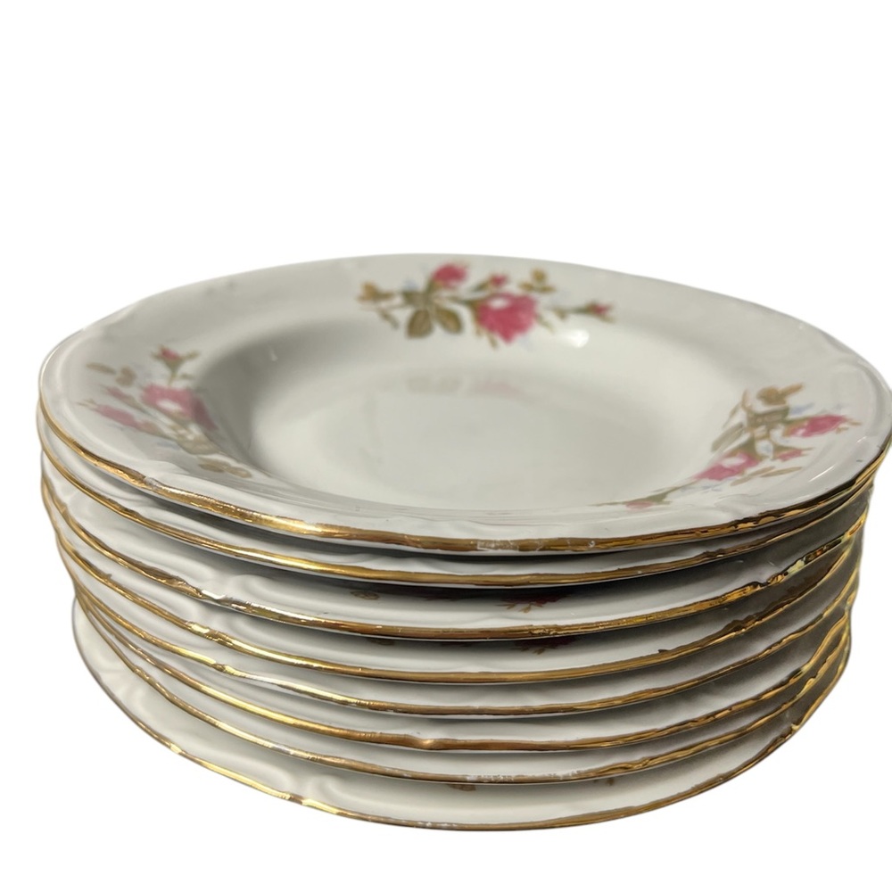 Elegant Floral Rimmed Dinner Plates